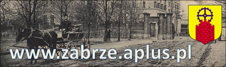 www.zabrze.aplus.pl