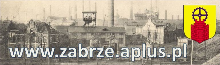 www.zabrze.aplus.pl