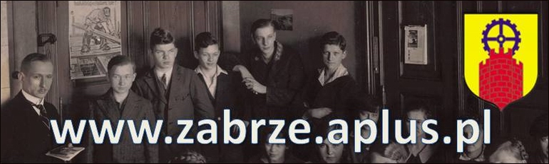 www.zabrze.aplus.pl