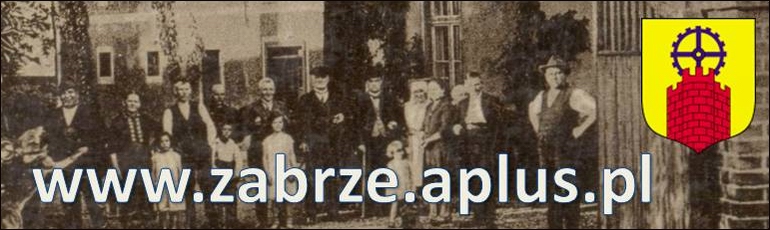 www.zabrze.aplus.pl