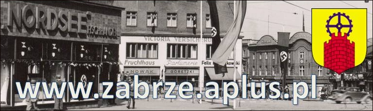 www.zabrze.aplus.pl