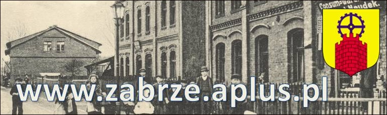 www.zabrze.aplus.pl