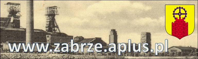 www.zabrze.aplus.pl