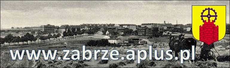 www.zabrze.aplus.pl
