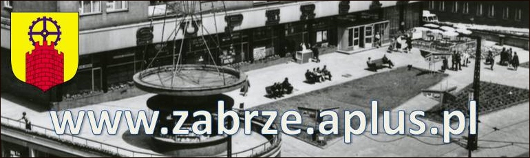 www.zabrze.aplus.pl