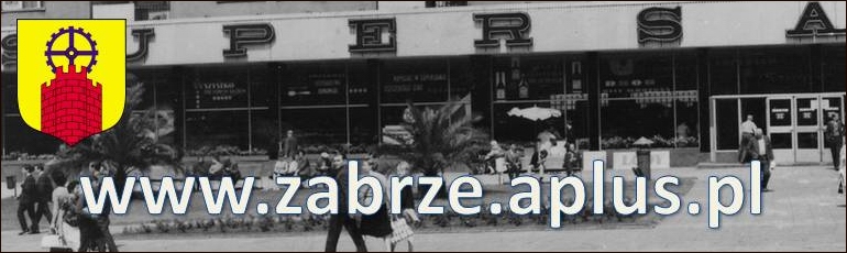 www.zabrze.aplus.pl